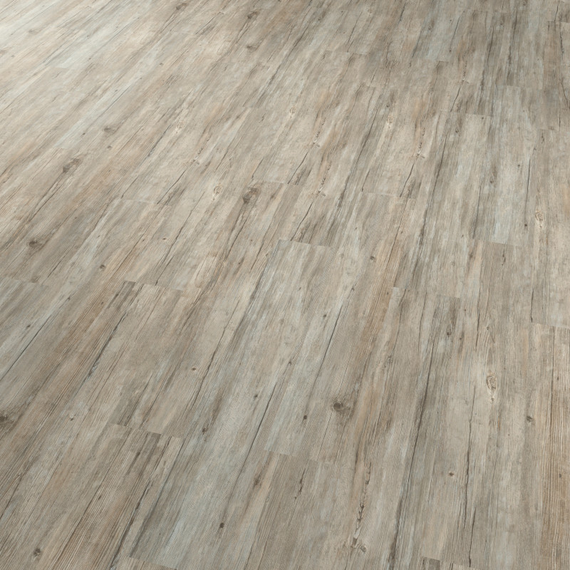 Projectline
